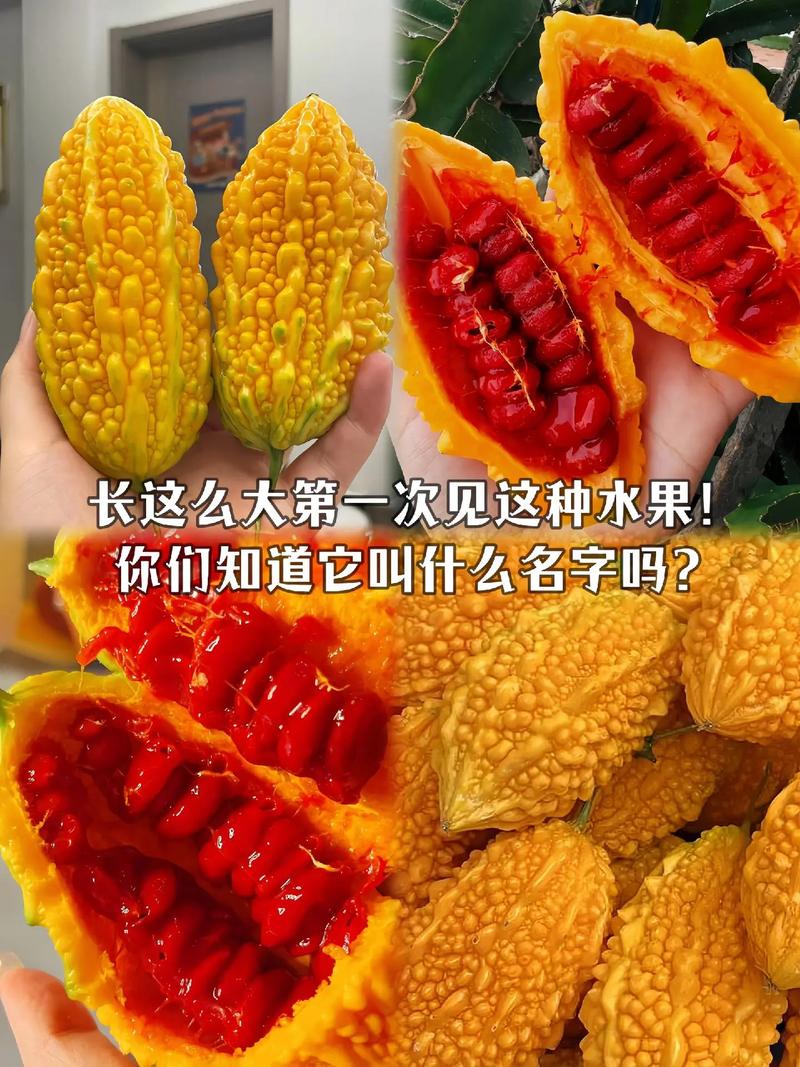 抖音中的同款水果叫什么