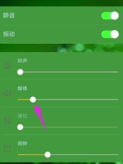 帅抖音为什么没有声音