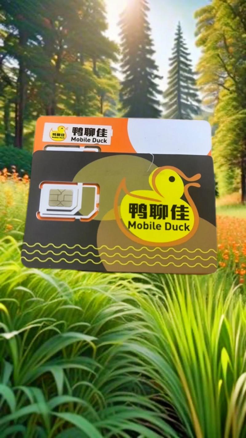 陆鸭嘴流量卡