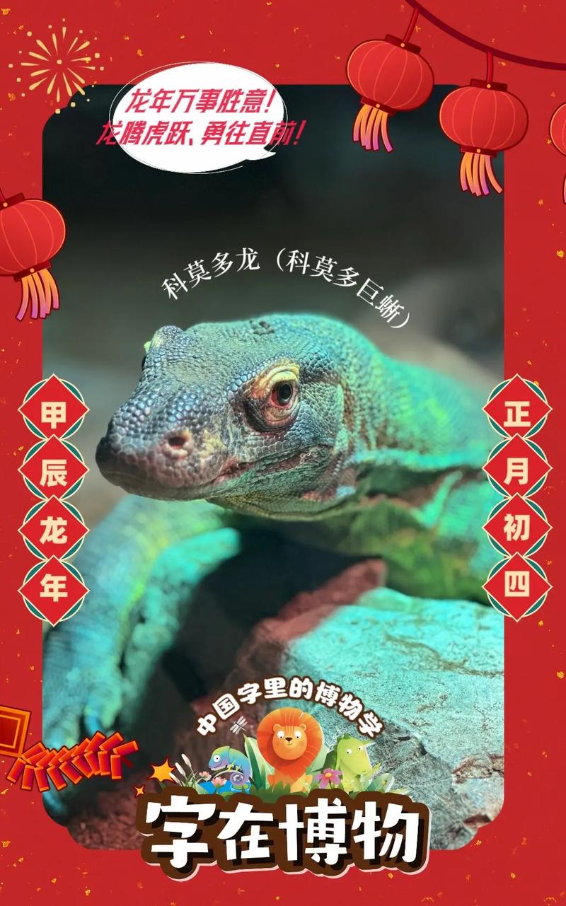 抖音印度巨蜥是什么梗啊