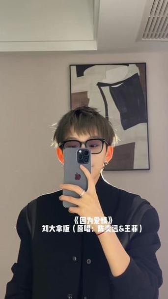 抖音刘大拿出了什么事