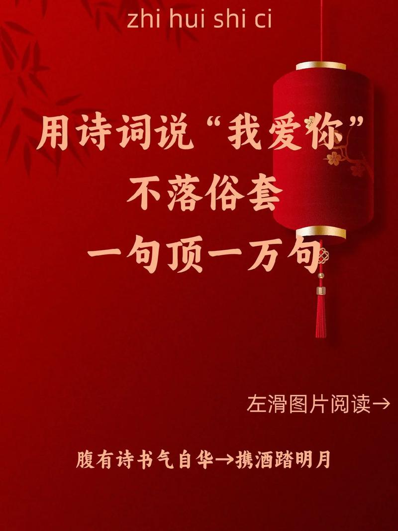 抖音阿数我拿什么去爱你