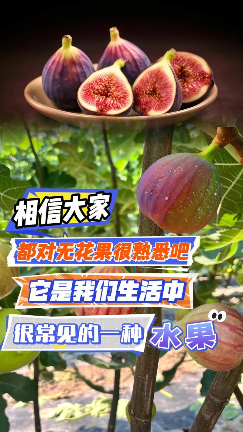 抖音有个水果名叫什么
