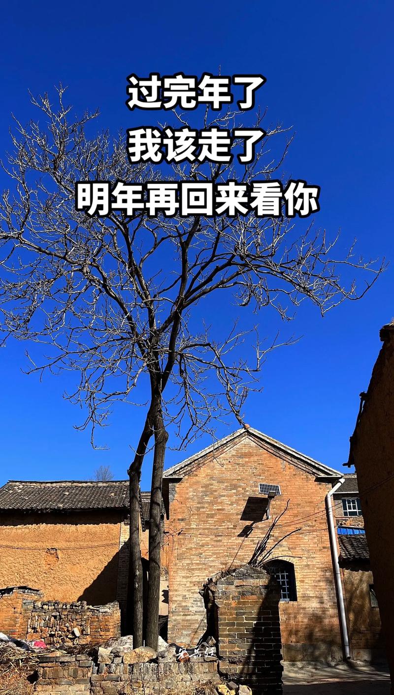 抖音上找回乡愁什么意思