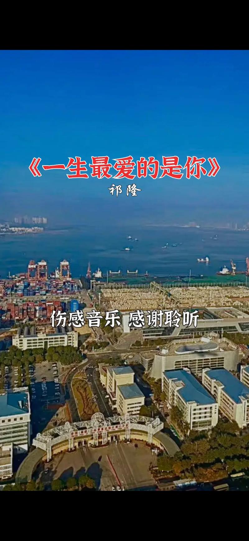 抖音的一生是什么歌