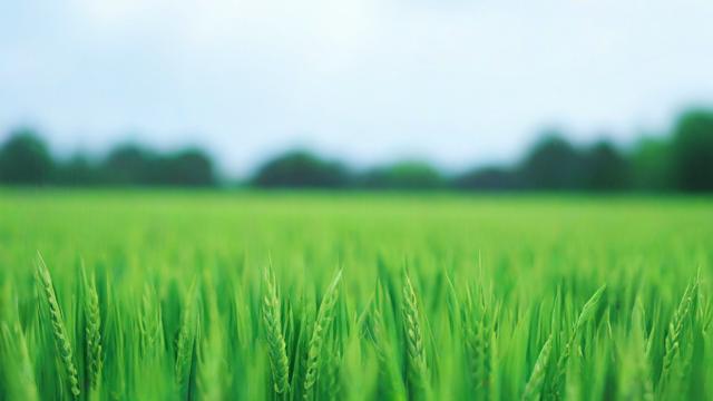 抖音显示被种草有什么用