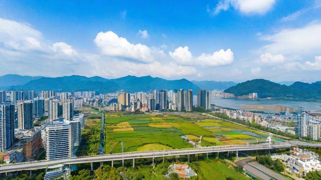 楚雄移动流量卡