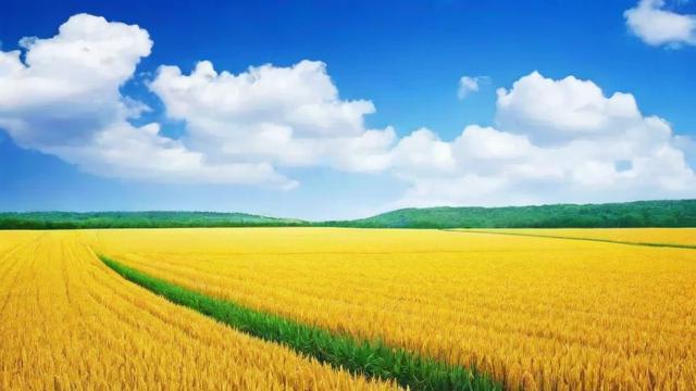 抖音大亩灵是什么意思