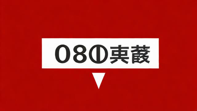 2233卡多少流量
