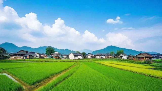抖音偏向农村化什么意思