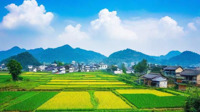 抖音偏向农村化什么意思