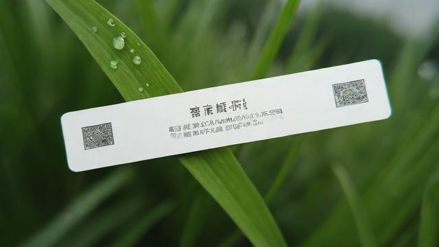 移动白露流量卡