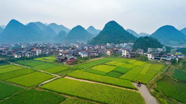 乡音卡流量结转