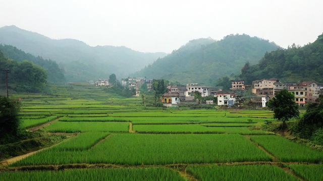 乡音卡流量结转