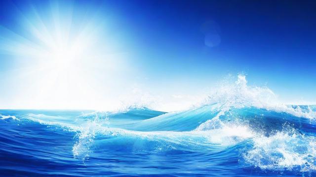 蓝风流量卡