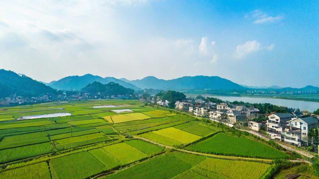 农村流量特别卡