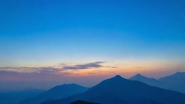 抖音收索量是什么意思
