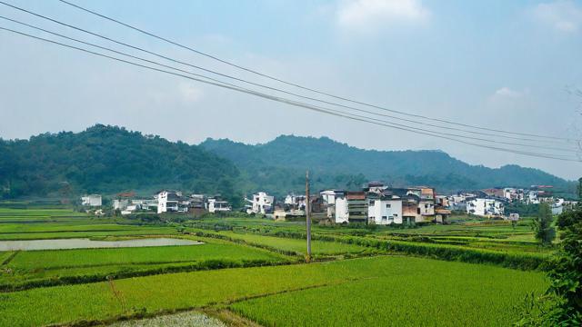 农村流量特别卡