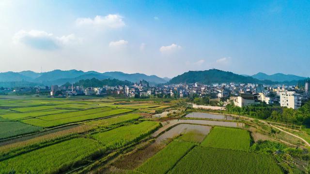 农村流量特别卡