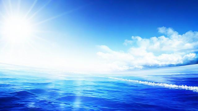蓝风流量卡