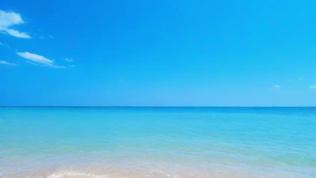 海爪网为什么没有抖音号