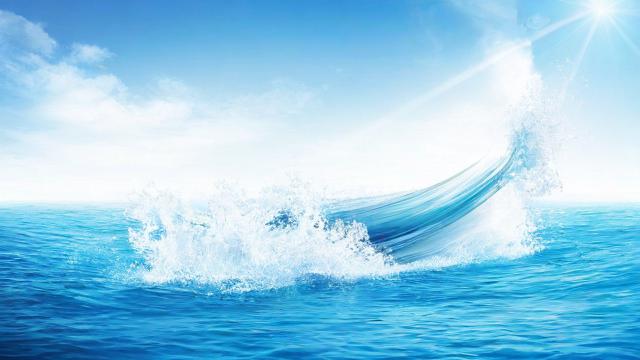 流量卡海淘