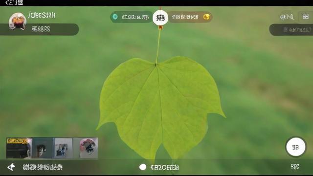 抖音里叶叶录屏是什么梗