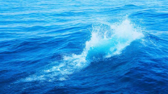 流量卡海淘