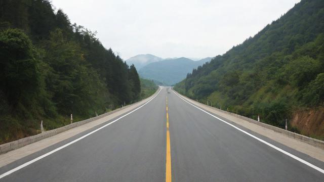 免费路流量卡