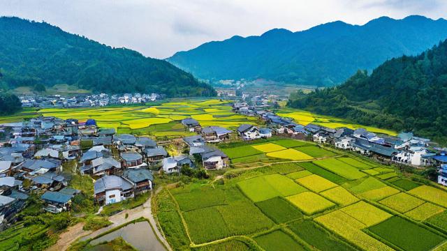 抖音上龙家村是什么意思