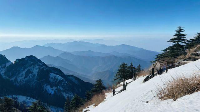 白山卖流量卡
