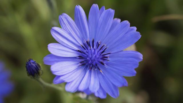 花卡定向流量抖音