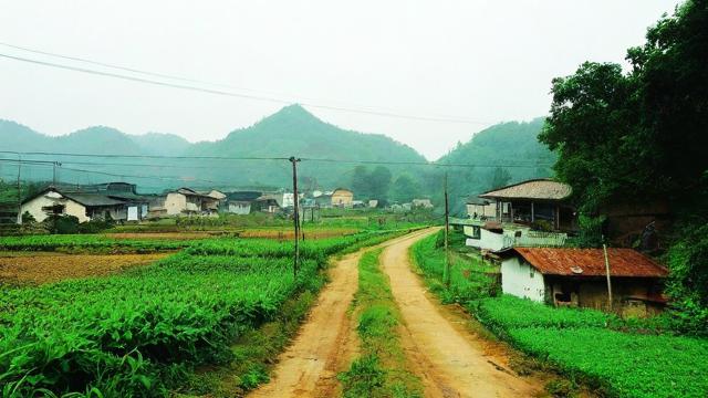 回老家流量卡