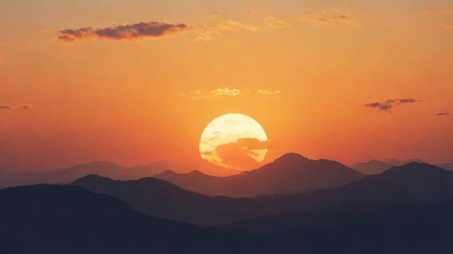 你播放的抖音是什么意思