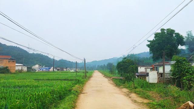 回老家流量卡