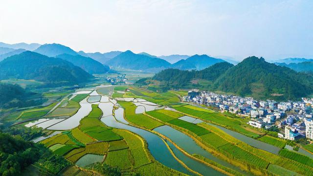 电信流量卡丰县
