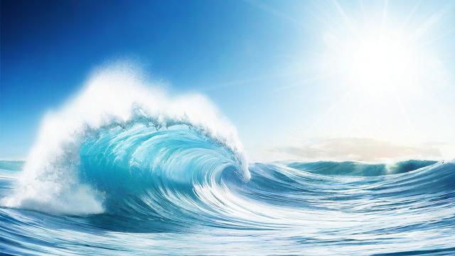 金浪流量卡
