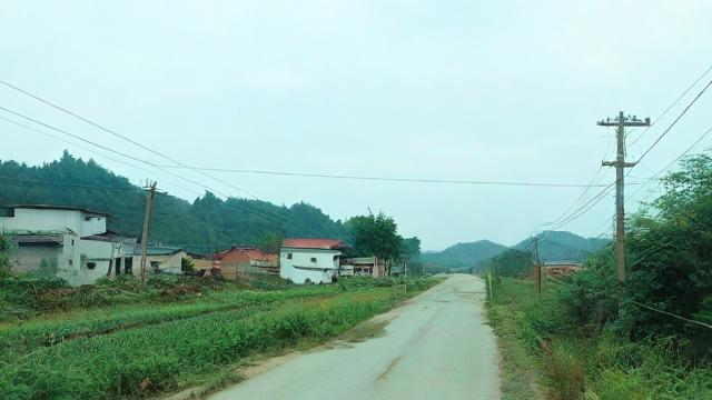 回老家流量卡