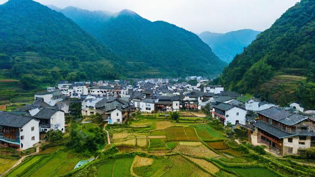 抖音里何家洞是什么村子