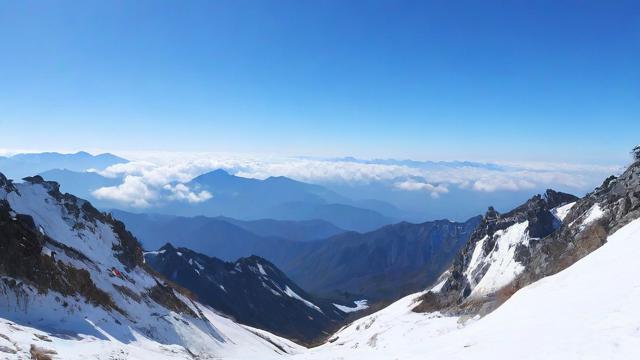 白山卖流量卡