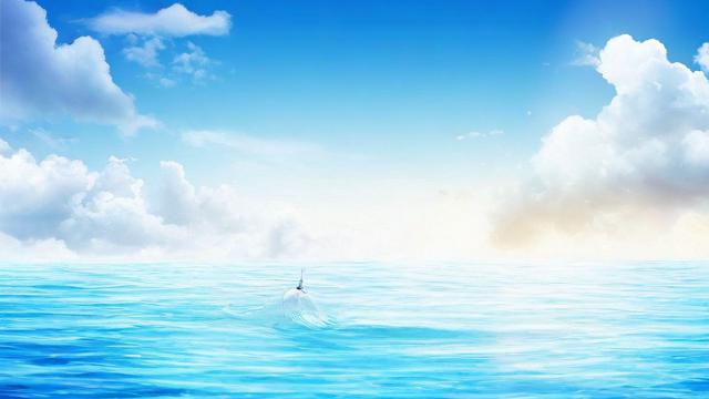 正规流量卡资源
