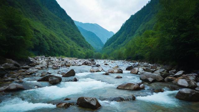 千川投流怎么看？