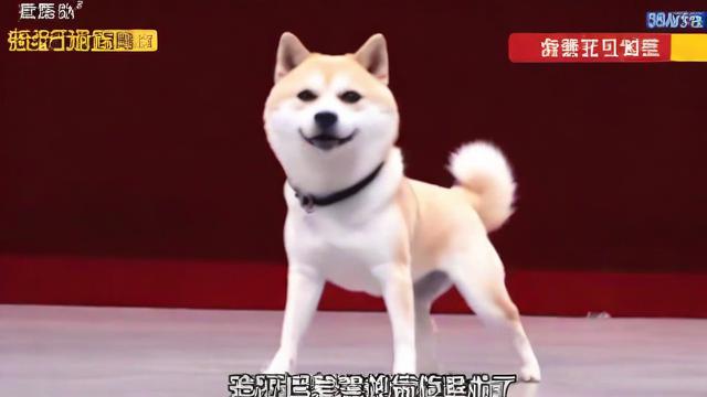 抖音二狗子跳的是什么舞