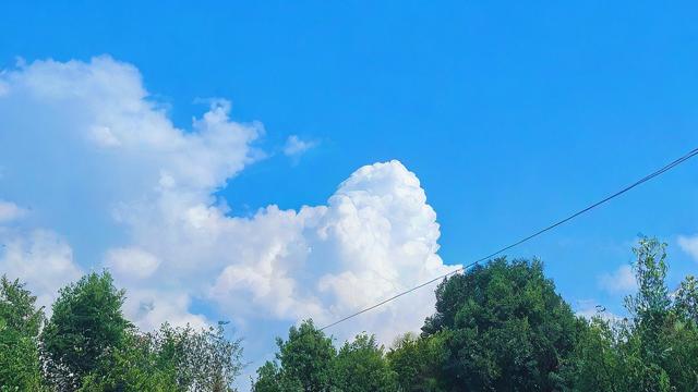抖音不是什么都能发出去