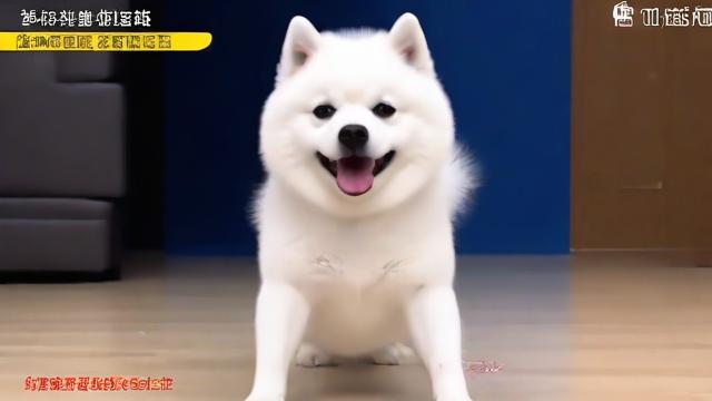 抖音二狗子跳的是什么舞