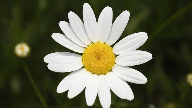 移动花卡用多久能改套餐？