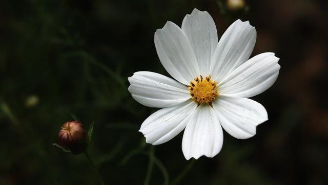 移动花卡用多久能改套餐？