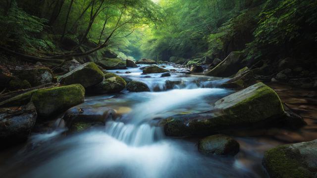 怎么千川投流？
