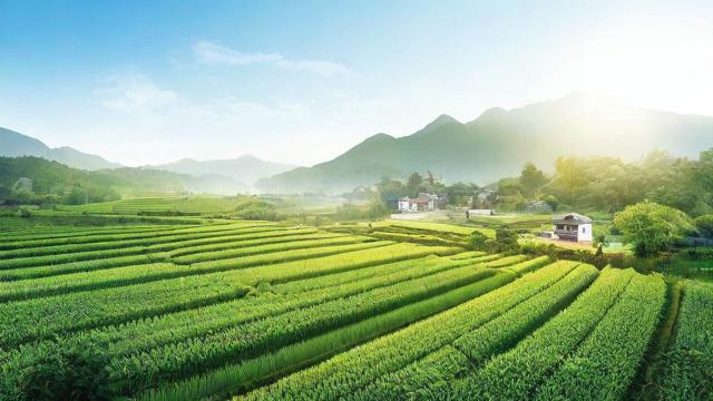 农资怎么投千川？