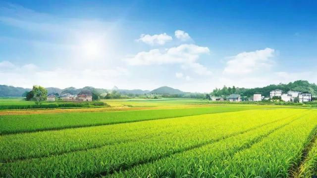 农资怎么投千川？